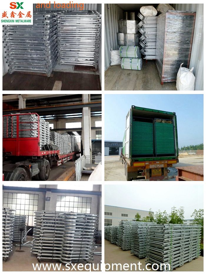 cattle equipment packing and loading(001).jpg