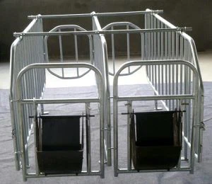 Pakan pig